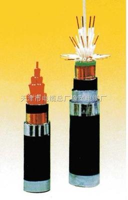 KVV、KVV22、KVV32控制電纜規(guī)格型號(hào)詳解與國(guó)家標(biāo)準(zhǔn)的遵循——以天津市電纜總廠橡塑電纜廠為例